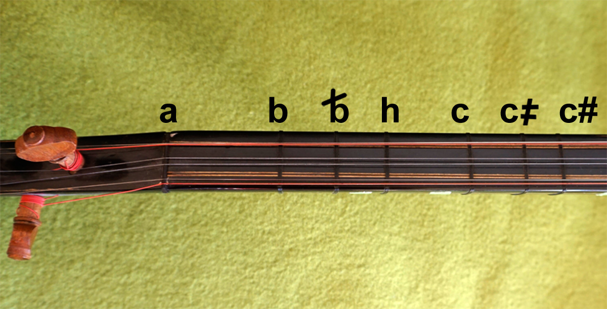 saz