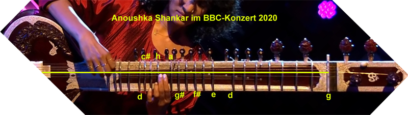 sitar